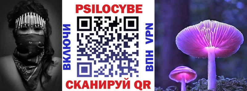 площадка Telegram  Верхняя Пышма  Галлюциногенные грибы Psilocybine cubensis  OMG tor 