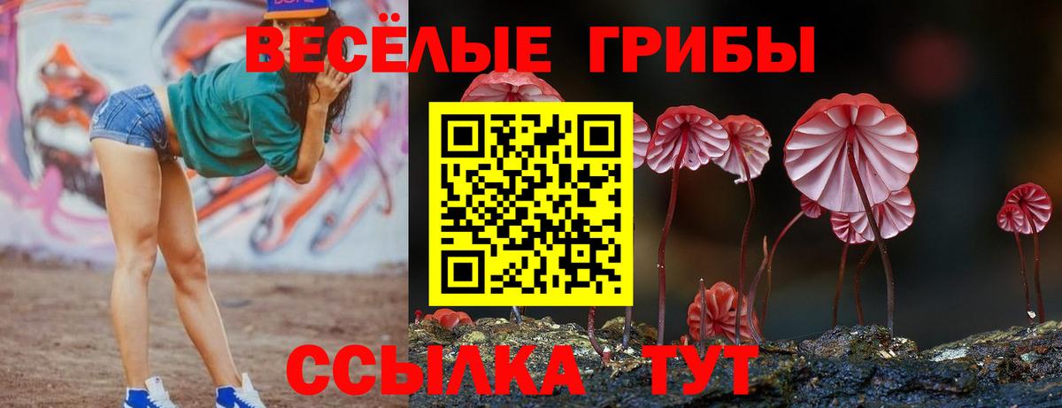Псилоцибиновые грибы MAGIC MUSHROOMS Верхняя Пышма