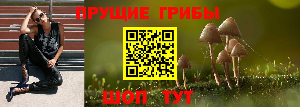 Верхняя Пышма  Псилоцибиновые грибы Magic Shrooms  Галлюциногенные грибы мицелий  Вход с VPN 