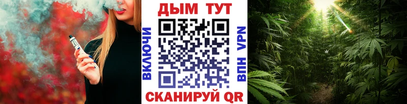 Бошки Шишки AK-47  где купить наркоту  ОМГ ОМГ рабочий сайт  Верхняя Пышма 