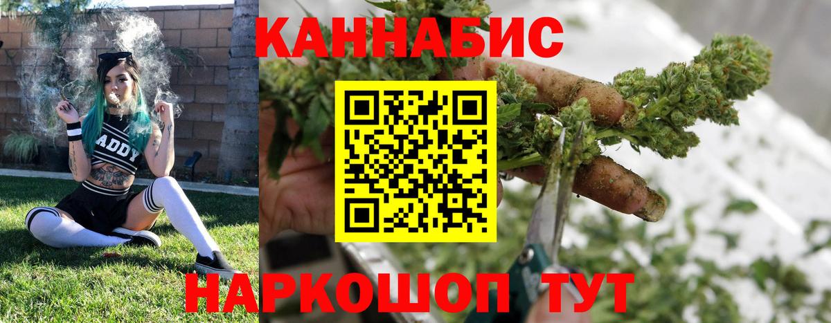 Бошки марихуана тримм  Вход с VPN  МАРИХУАНА гибрид  Верхняя Пышма 